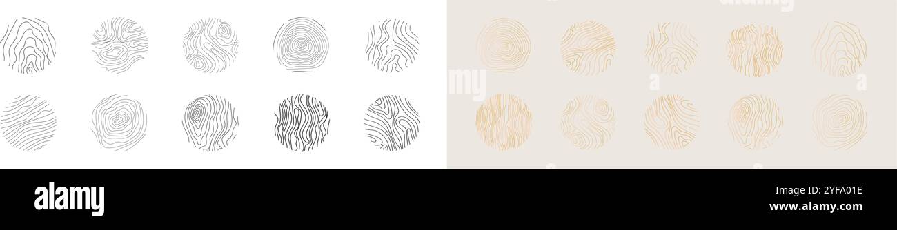 Collection d'anneaux d'arbre à ligne mince dorée. Cercle élégant de texture de section en bois doré. Contour de grille géographique de carte topographique. Lignées de bois. Illustration vectorielle Illustration de Vecteur