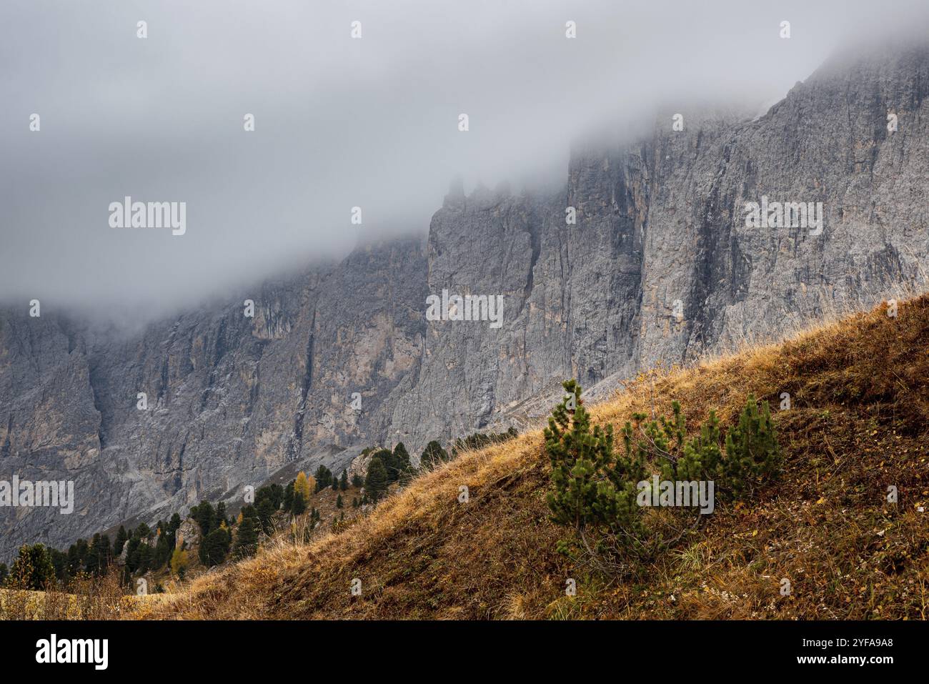 Vues à couper le souffle sur les pics de montagne de Langkofel ou Saslonch, chaîne de montagnes dans les dolomites couverts de brouillard pendant le lever du soleil dans le Tyrol du Sud, Ita Banque D'Images