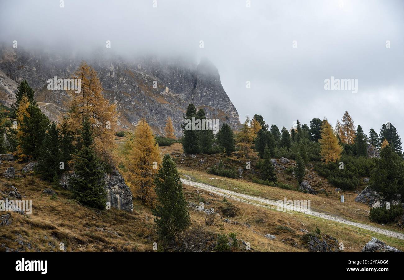 Paysage forestier d'automne à Passo Falzarego vallée. Dolomite chaîne de montagnes Italie. apl italiens de la saison d'automne Banque D'Images