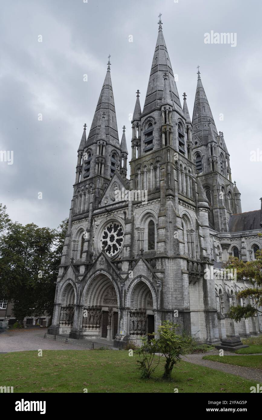 Saint fin barres Cathédrale anglicane et jardins. Cork ville Irlande Europe Banque D'Images