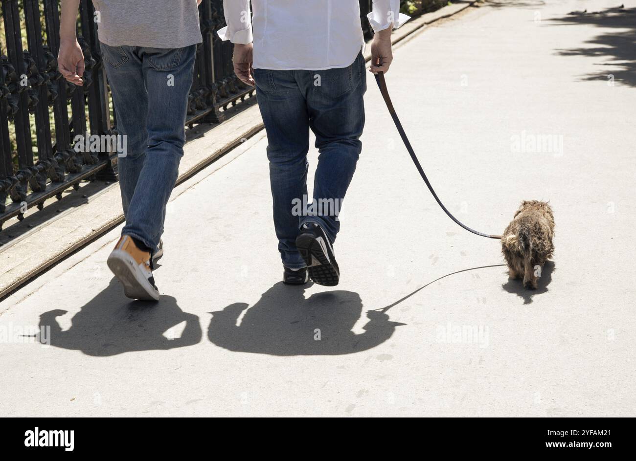 Couple marcher dans la rue avec un petit chien brun. Amitié des propriétaires d'animaux Banque D'Images