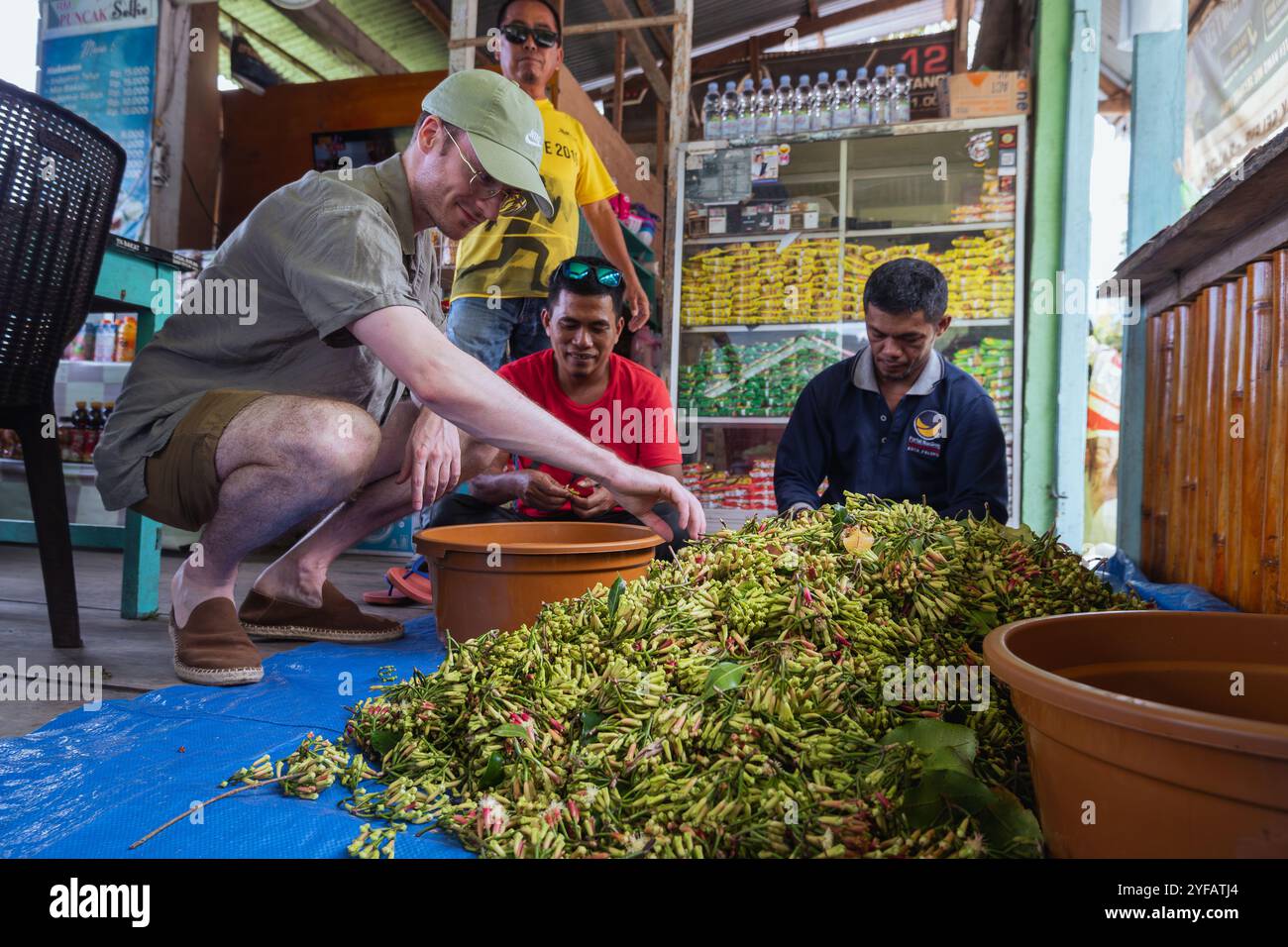 Un acheteur vérifie la qualité des clous de girofle chez un agriculteur dans la ville de Palopo, le 1er octobre 2024, Sulawesi Sud, Indonésie Banque D'Images