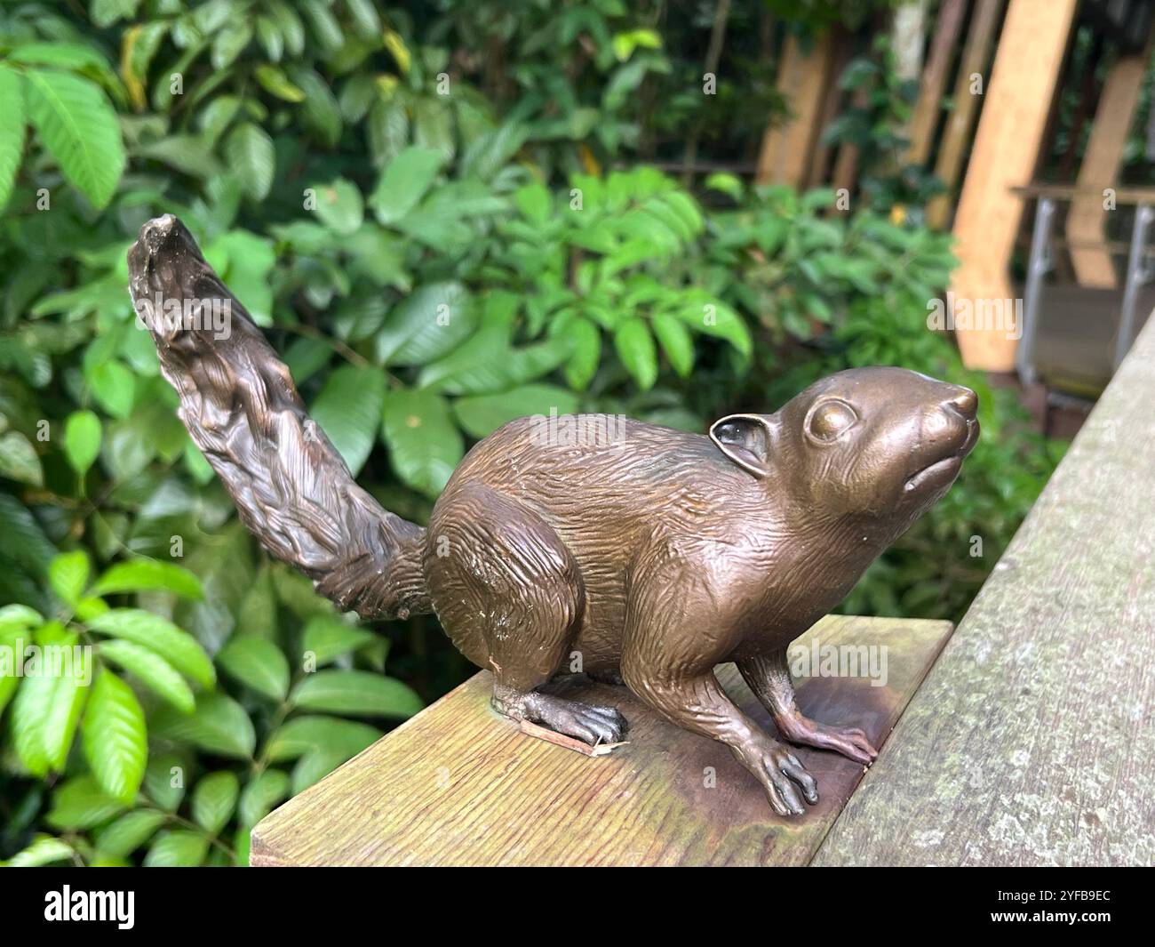 Installation d'exposition d'art visuel de Cute plantain écureuils posture sous forme de sculpture à l'environnement extérieur. Rifle Range nature Park, Singapour. Banque D'Images