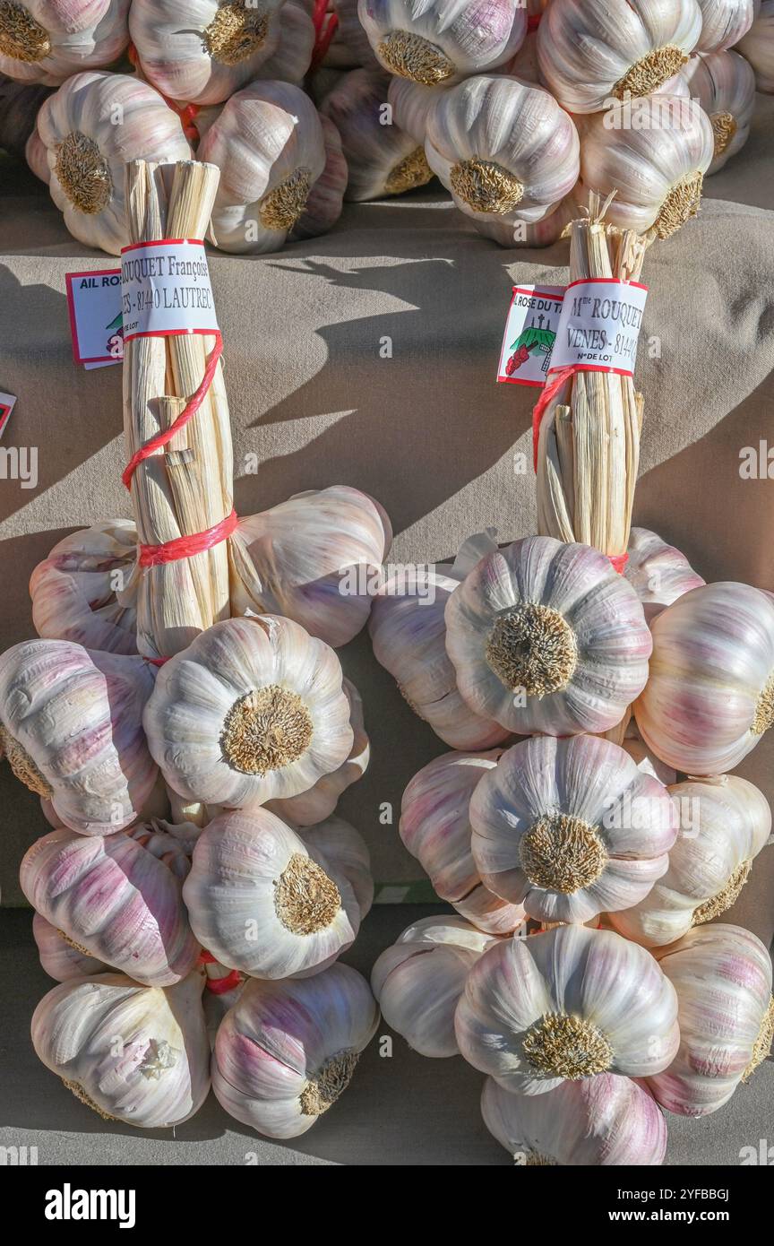 L'ail rose ail de Lautrec exposé au marché d'Espezel, département de l'Aude, France Banque D'Images