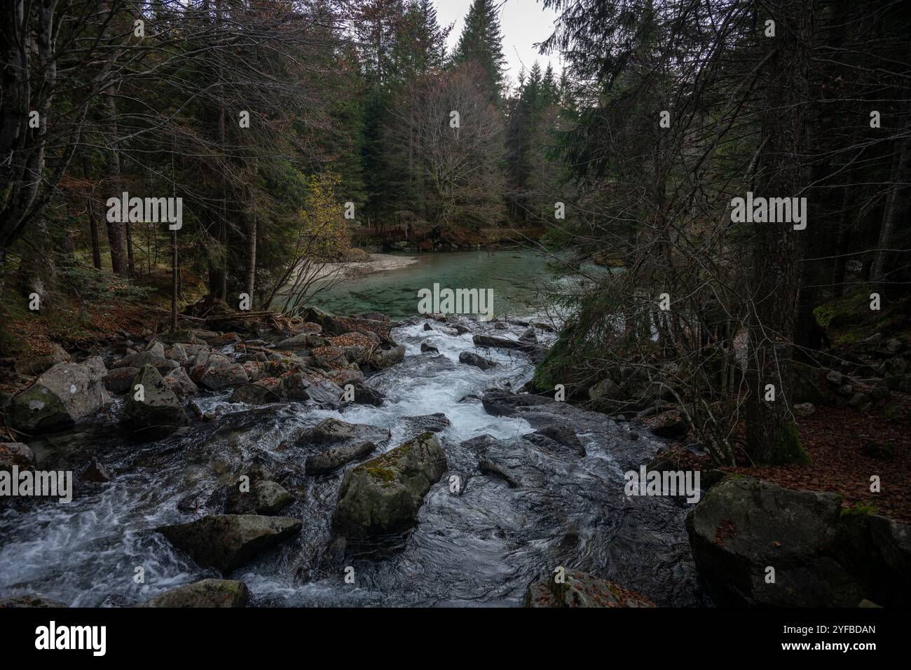 Pinzolo, une charmante ville du Trentin, offre des paysages alpins, des sports d'hiver et un accès au parc naturel Adamello Brenta. Banque D'Images