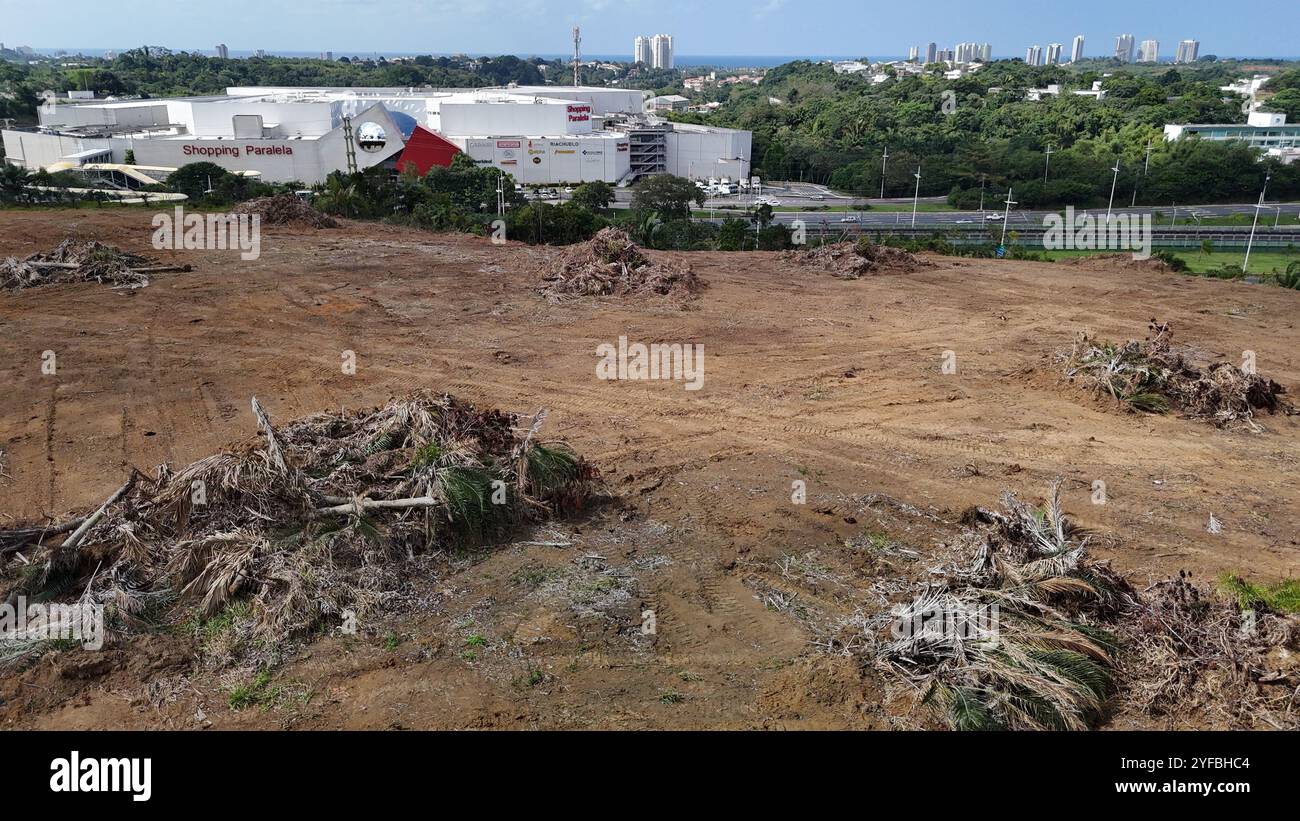 salvador, bahia, brésil - 2 septembre 2024 : zone de déforestation dans la zone de préservation de l'environnement dans la ville de Salvador. Banque D'Images