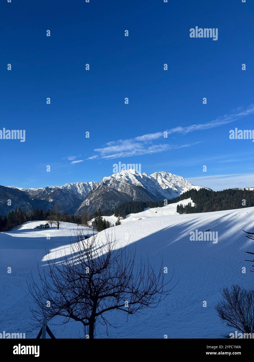 Paysage hivernal à couper le souffle près de Salzbourg : champs enneigés, arbres éparpillés et panorama spectaculaire sur les montagnes sous un ciel bleu clair et profond - Image de stock capturée avec un smartphone