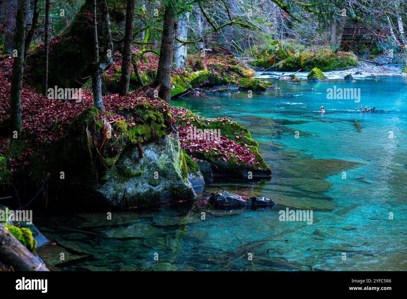 Pinzolo, une charmante ville du Trentin, offre des paysages alpins, des sports d'hiver et un accès au parc naturel Adamello Brenta. Banque D'Images