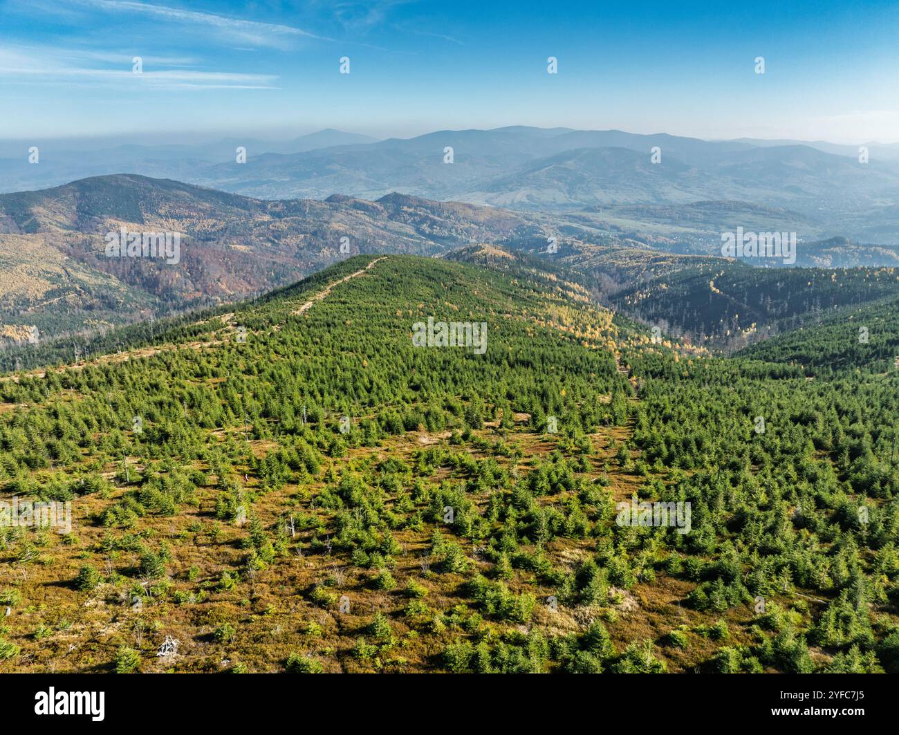 Vue aérienne de Ram Mountain par drone. Montagne Barania dôme dans les Beskids de Silésie. Réserve naturelle de Barania Hill Ram Mountain. Tour d'observation sur le dessus Banque D'Images