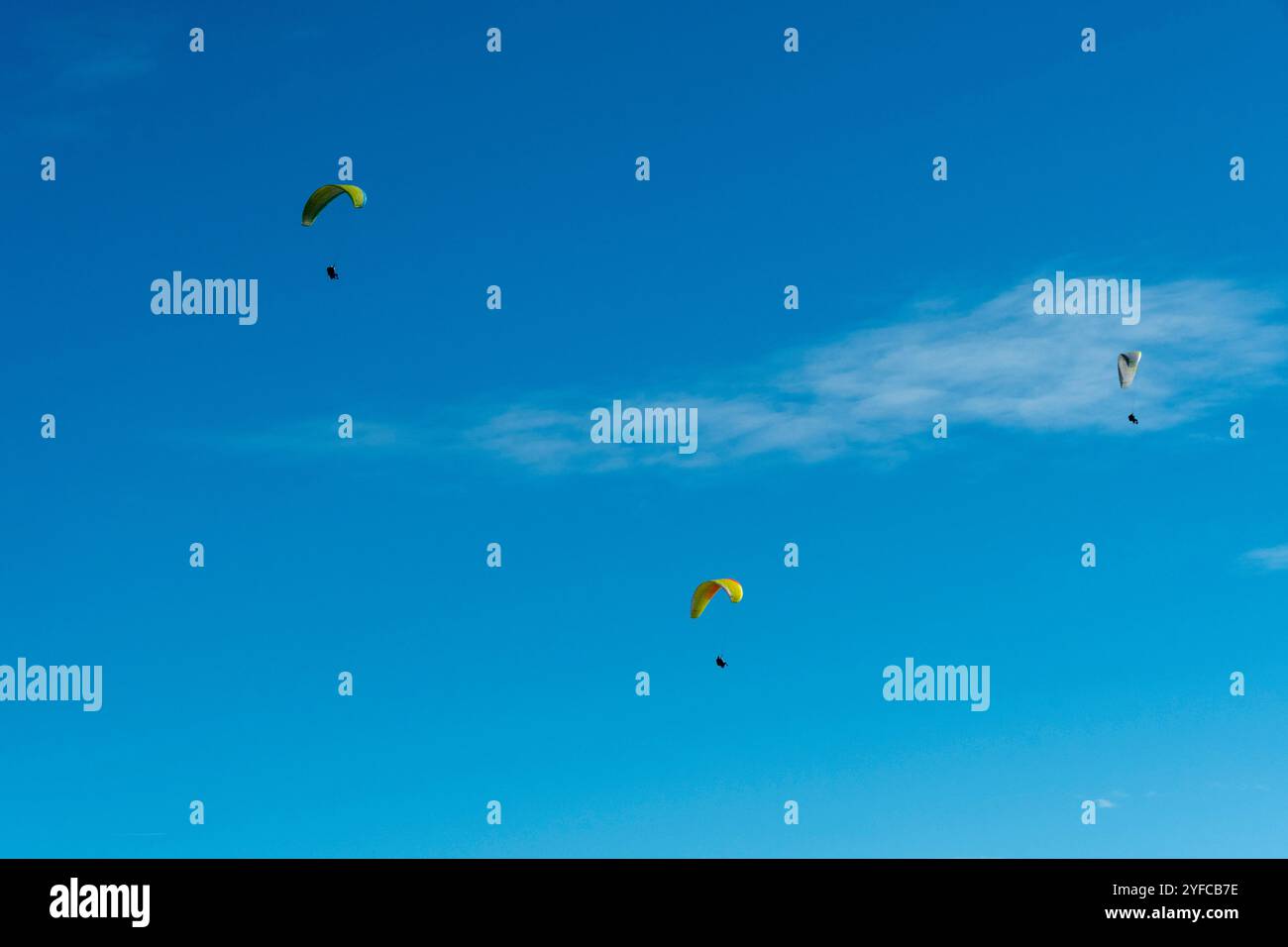 Trois parapentes s'élèvent dans le ciel par une journée claire et lumineuse Banque D'Images