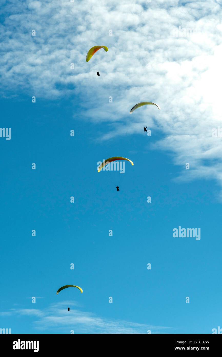 Quatre parapentes s'élèvent dans le ciel par une journée claire et lumineuse Banque D'Images