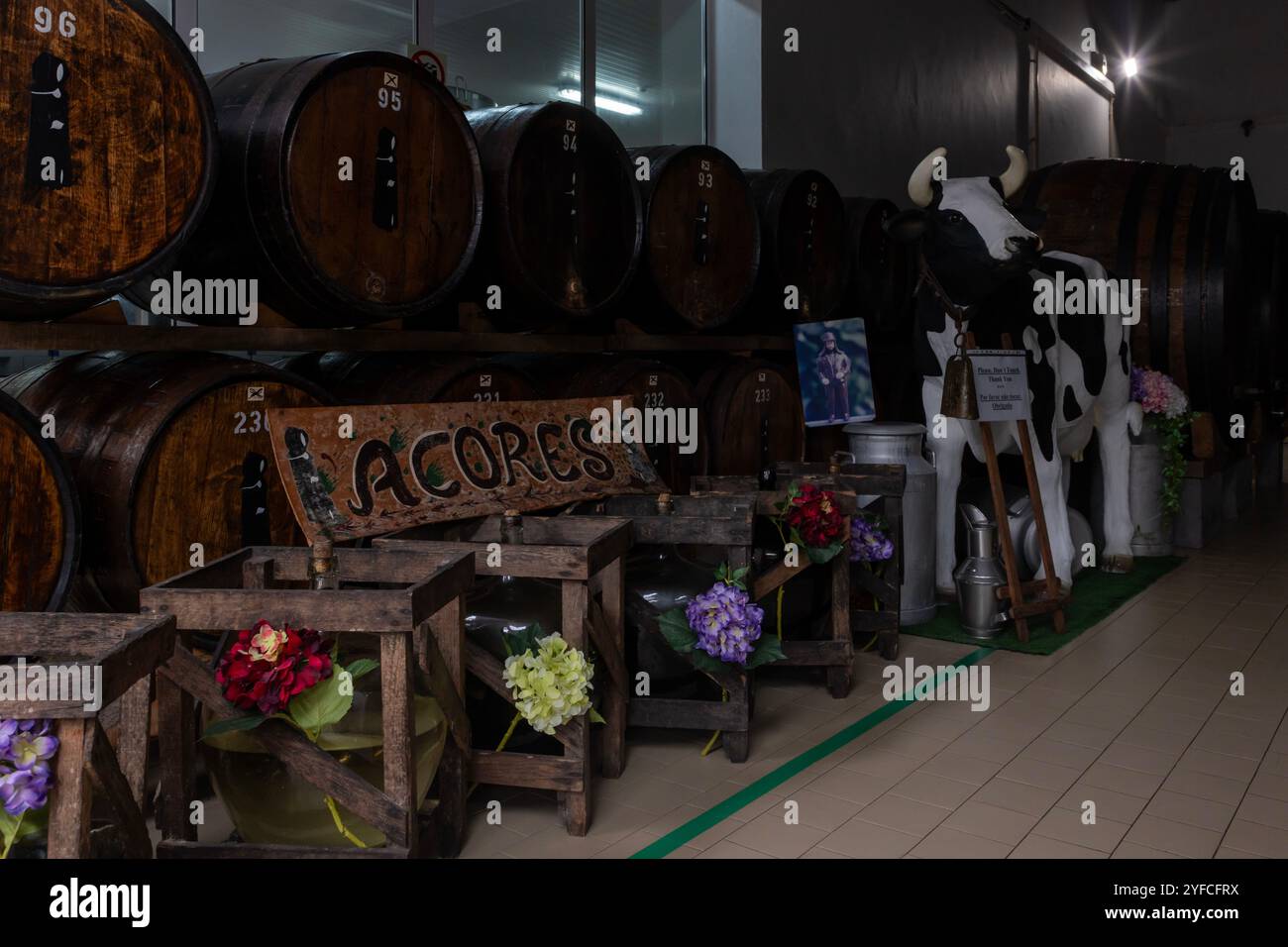 Mulher de capote est une distillerie de liqueur située à Ribeira Grande, une ville côtière populaire sur l'île de Sao Miguel, aux Açores. Banque D'Images