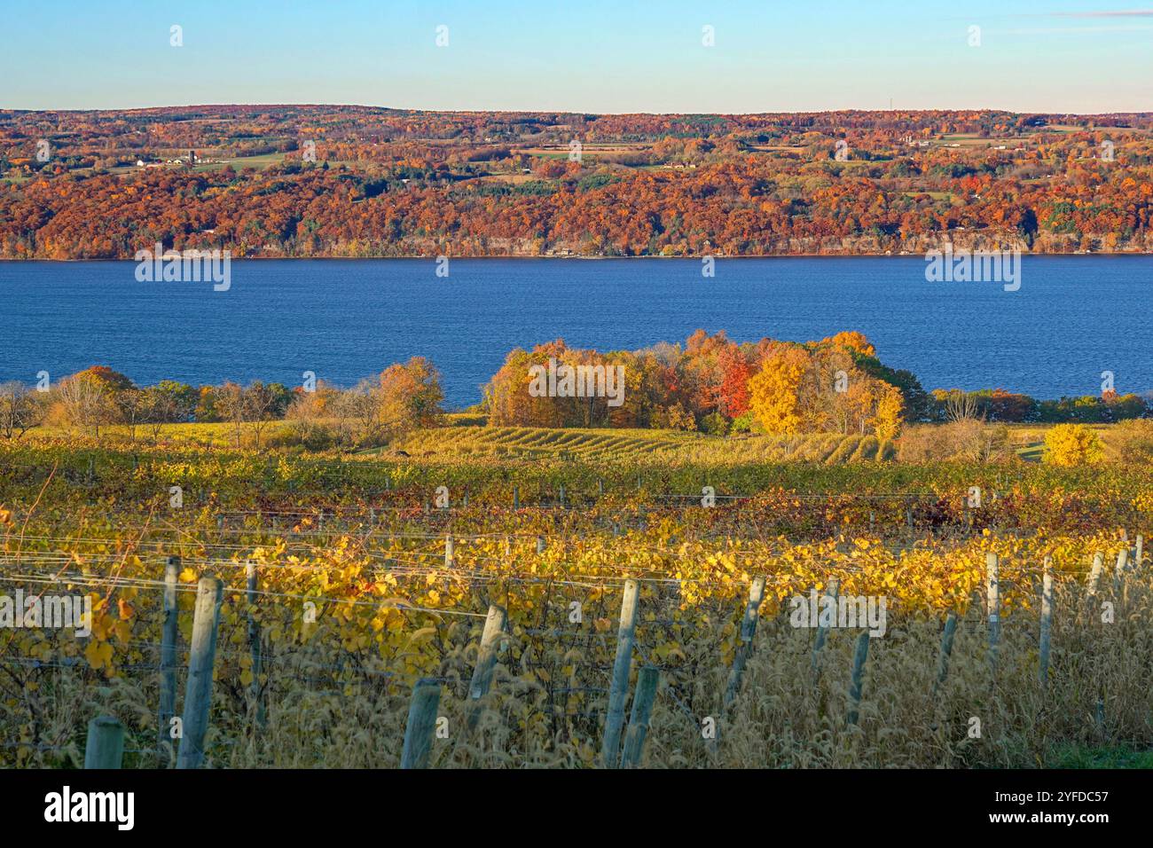Vue d'automne au bord du lac d'un vignoble dans la région de Finger Lakes à New York Banque D'Images