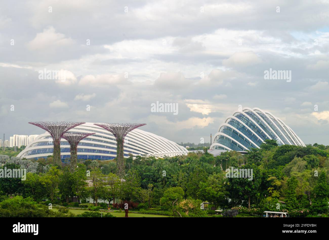 Supertree Grove arbres dans les jardins près de la baie, forêt nuageuse en arrière-plan Banque D'Images