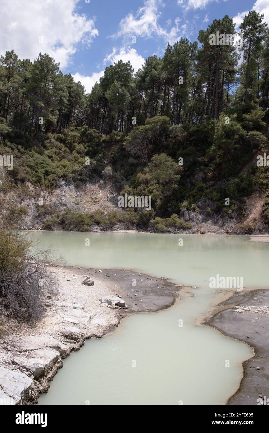 Lacs soufrés aux couleurs vives situés dans les zones thermales bio de Rotorua, Nouvelle-Zélande. Banque D'Images