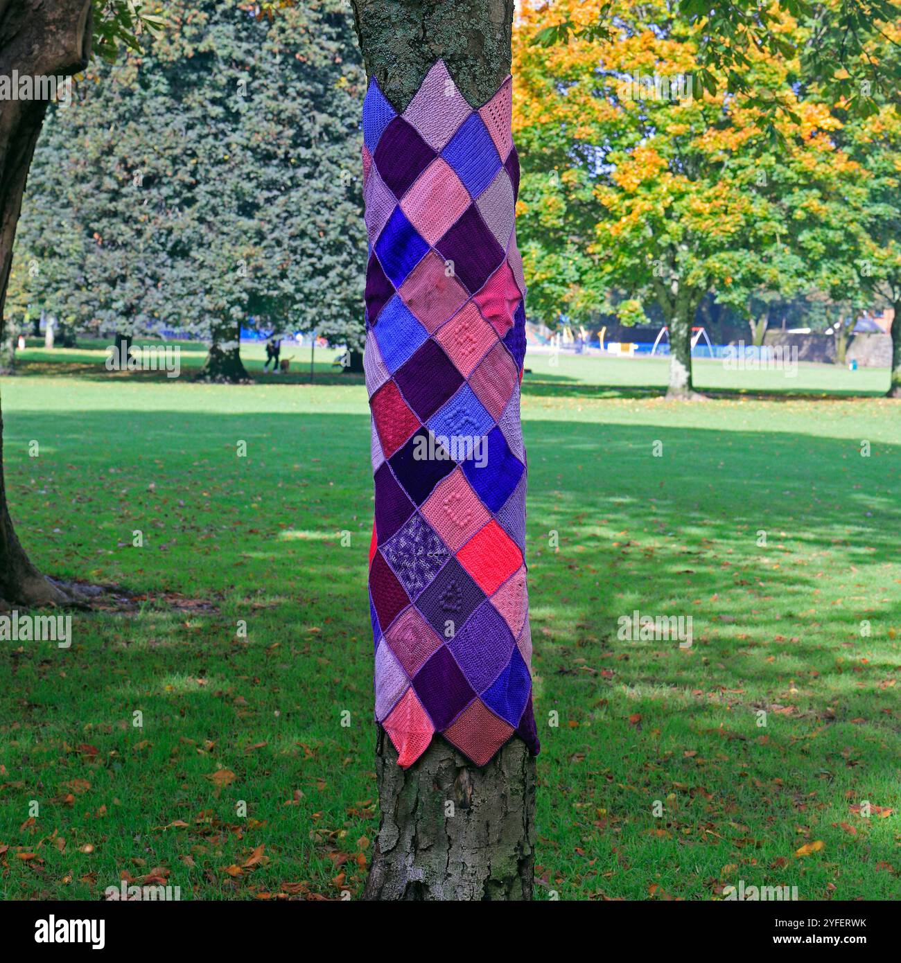 Arbre avec revêtement tricoté, Llandaff Fields, Cardiff, pays de Galles du Sud, Royaume-Uni. Automne 2024. Novembre Banque D'Images