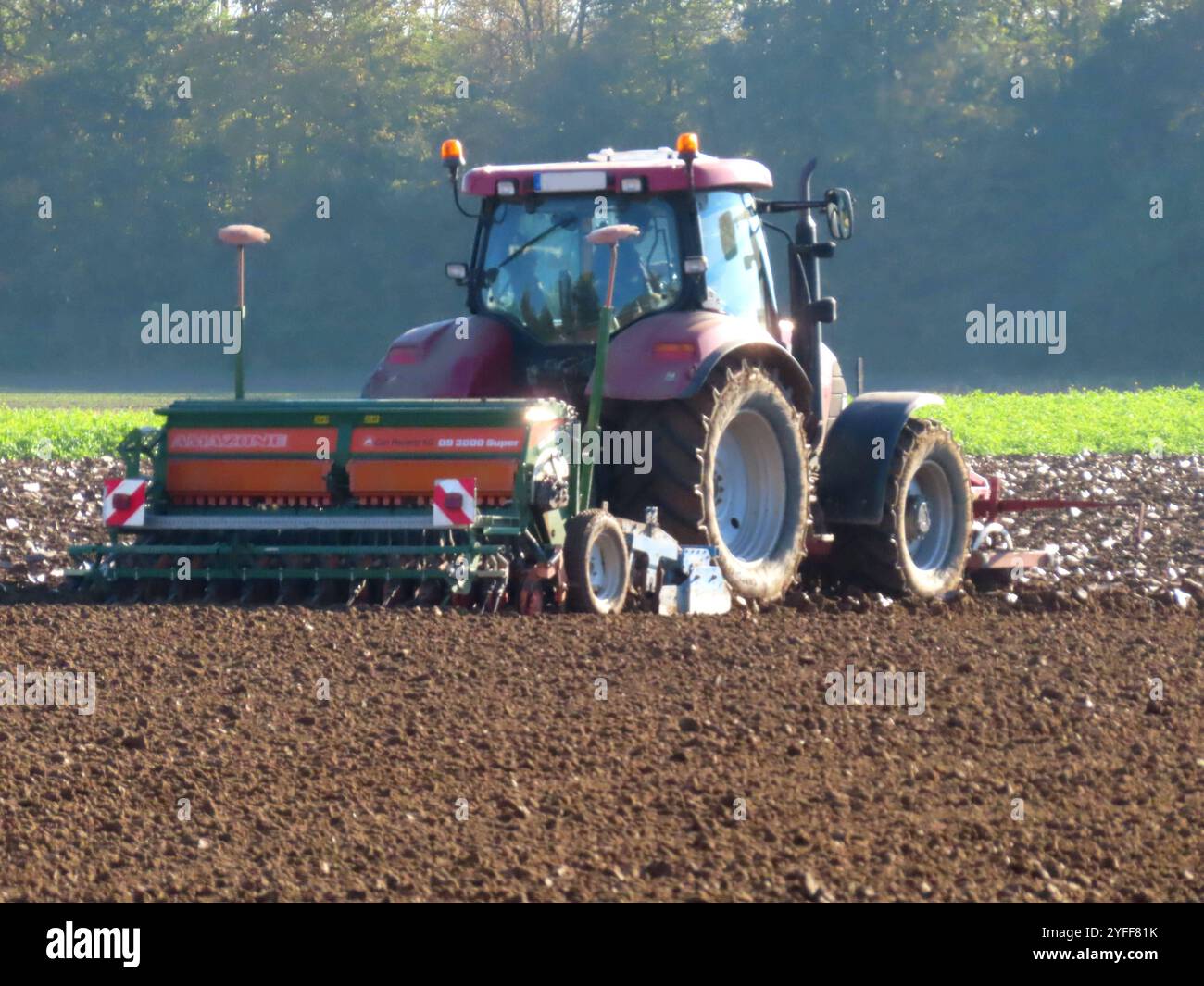 Ackerschlepper bringt auf frisch geeggtem Feld Saatgut aus... Ackerschlepper bringt Saat aus *** tracteur agricole seme des graines sur un champ fraîchement hersé tracteur agricole seme des graines sur un champ fraîchement hersé Banque D'Images