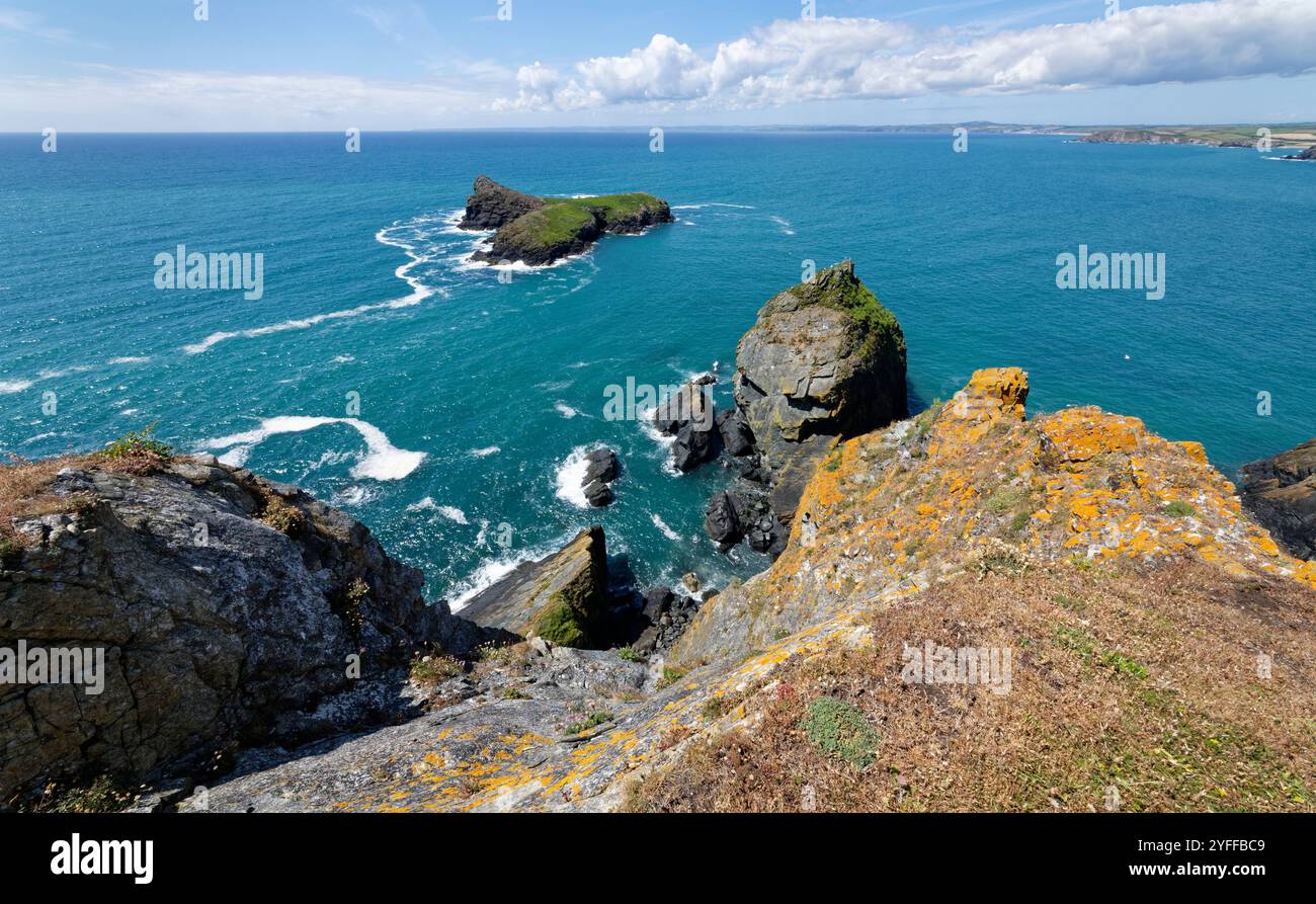 Vue ouest de Mullion Cliff vers le VRO et Mullion Island, réserve naturelle nationale de Lizard, Cornwall, Royaume-Uni, juin 2024. Banque D'Images