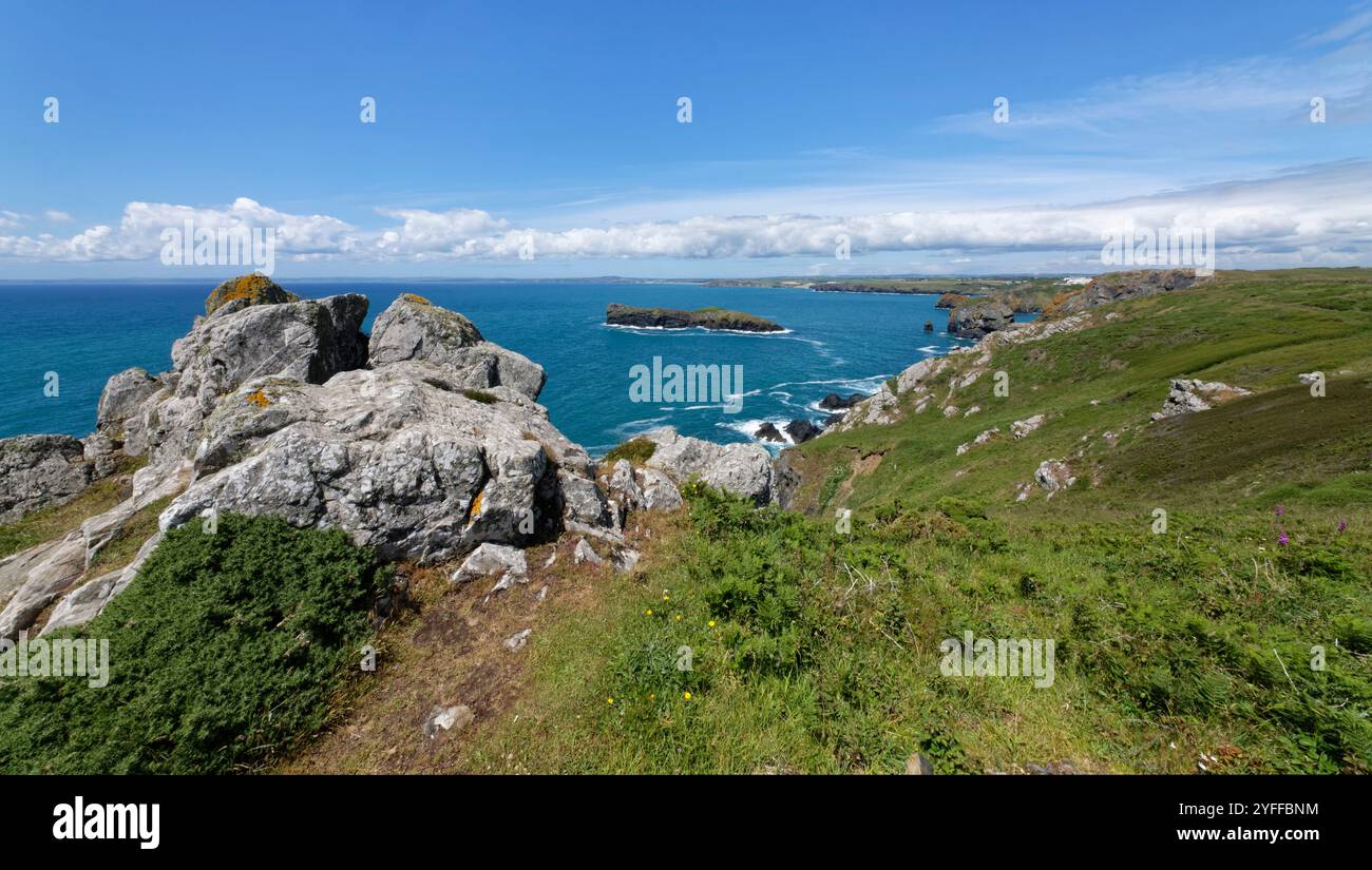 Vue vers le nord depuis Higher Predannack Cliff vers Mullion Island et Mullion Cove, réserve naturelle nationale de Lizard, Cornwall, Royaume-Uni, juin 2024. Banque D'Images