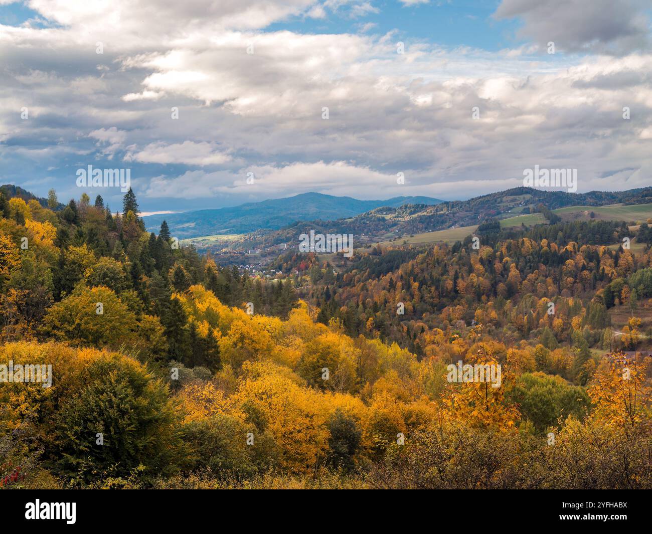 Une vue pittoresque sur les collines et les forêts vallonnées en automne. Le feuillage d'automne vibrant crée une atmosphère enchanteresse sous un ciel nuageux, soulignant Banque D'Images