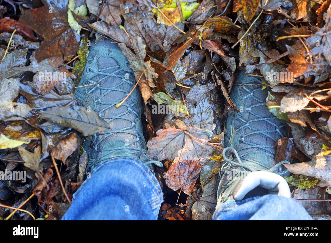 Laubfall im Herbst Herabgefallenes Herbstlaub sammelt sich auf dem Gehweg neben einer Straße und bildet einen weichen Teppich unter den Schuhen eines Fußgängers *** feuilles tombées en automne les feuilles tombées d'automne se rassemblent sur le trottoir à côté d'une route et forment un tapis moelleux sous un piéton chaussures Banque D'Images