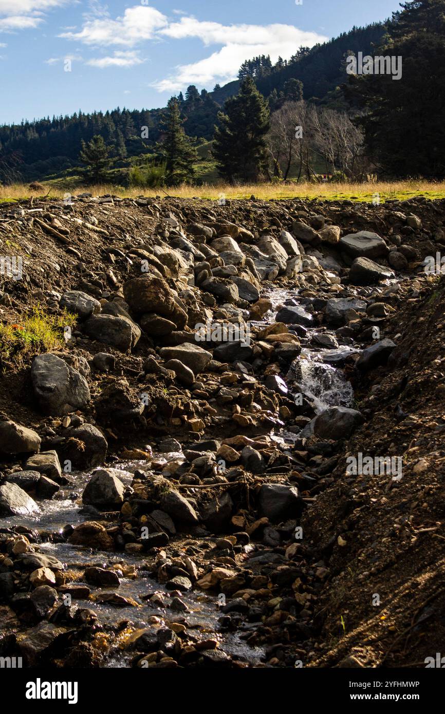 Mini cascade descendant les rochers - Nouvelle-Zélande Banque D'Images