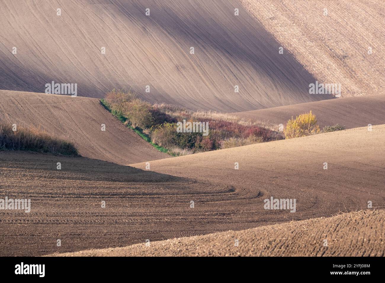 Paysage agricole arable ondulé, photographié en automne en Moravie du sud en République tchèque. La région est connue sous le nom de Toscane morave. Banque D'Images