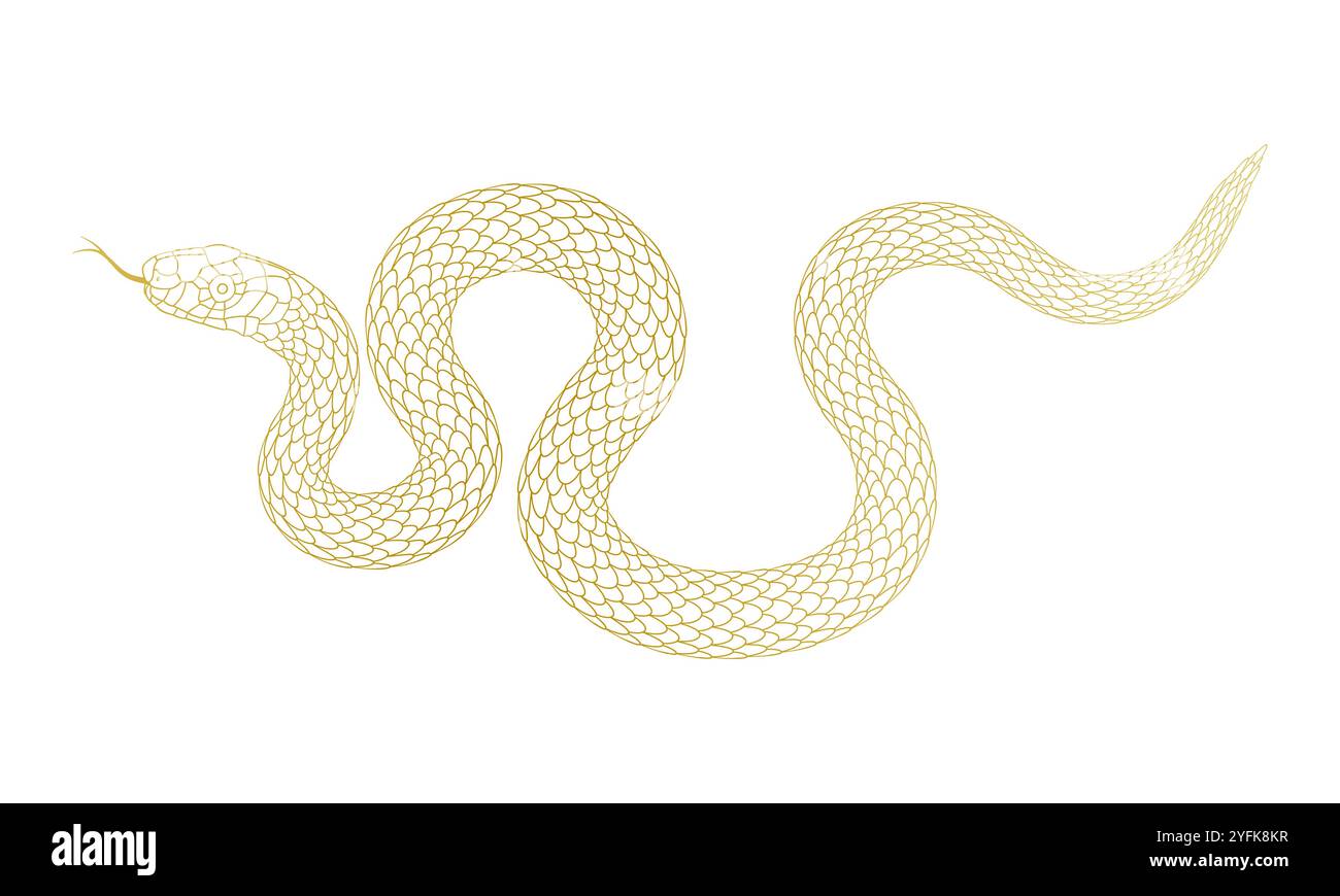 Une illustration de serpent de dessin animé simple Illustration de Vecteur