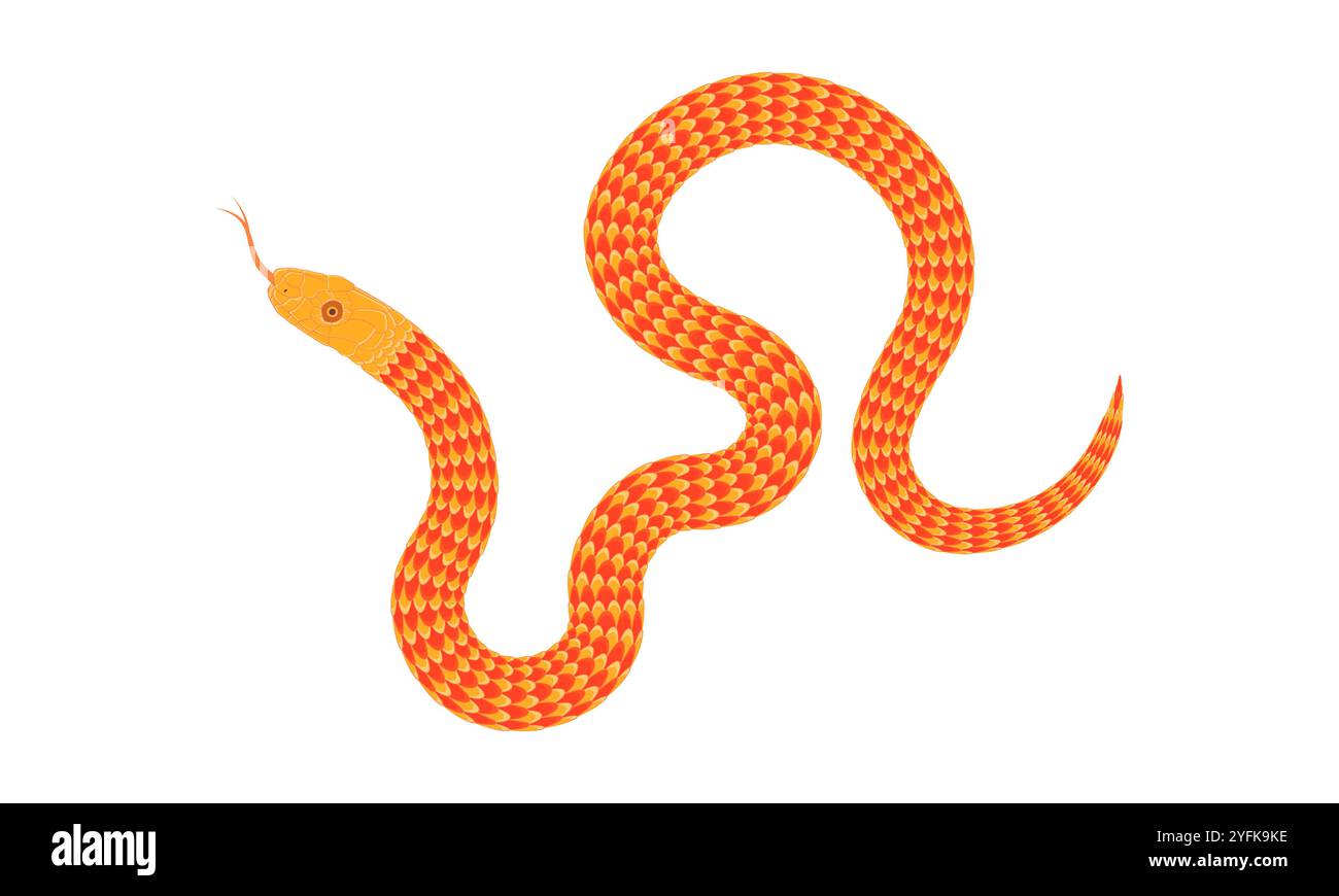 Un motif de serpent de dessin animé simple Illustration de Vecteur