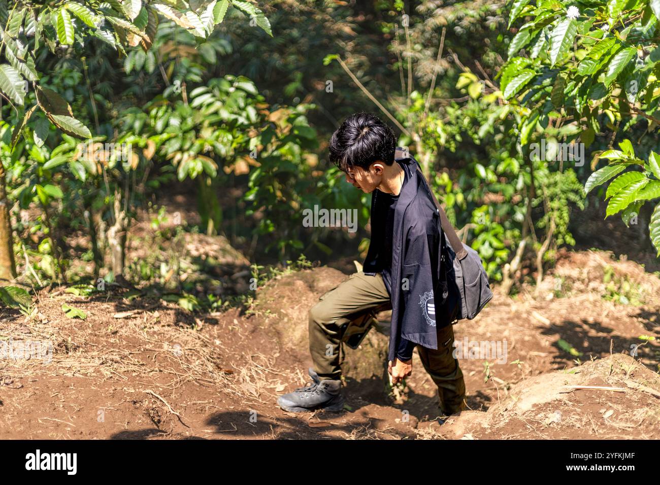 Sentiers d'escalade en plein air pour passionnés dans la nature. Paisible forêt de montagne : évasion de la nature du quotidien. Banque D'Images