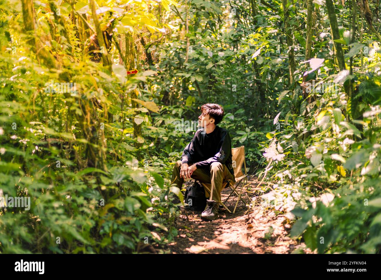 Faites une pause pour profiter d'une vue sereine sur la nature. Forêt calme dans les montagnes : une évasion naturelle sereine. Banque D'Images