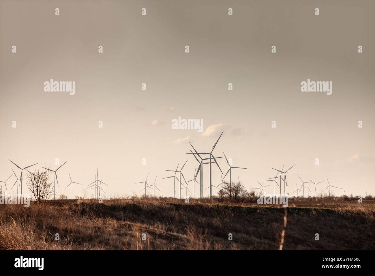 Les éoliennes de Voïvodine, en Serbie, exploitent l’énergie éolienne dans le cadre d’initiatives en matière d’énergies renouvelables, dans un paysage rural qui combine la technologie Banque D'Images
