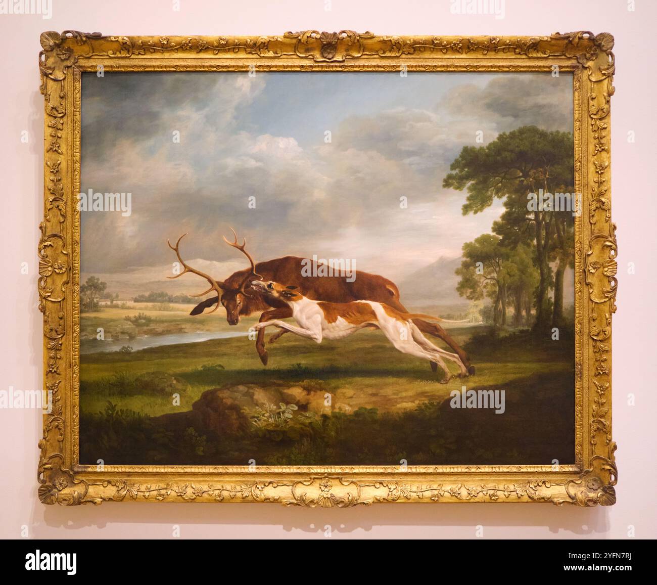 Hound coursing A Stag Painting de George Stubbs. Un chien chasse un cerf, hurle, tue. Au Philadelphia Museum of Art en Pennsylvanie. Banque D'Images