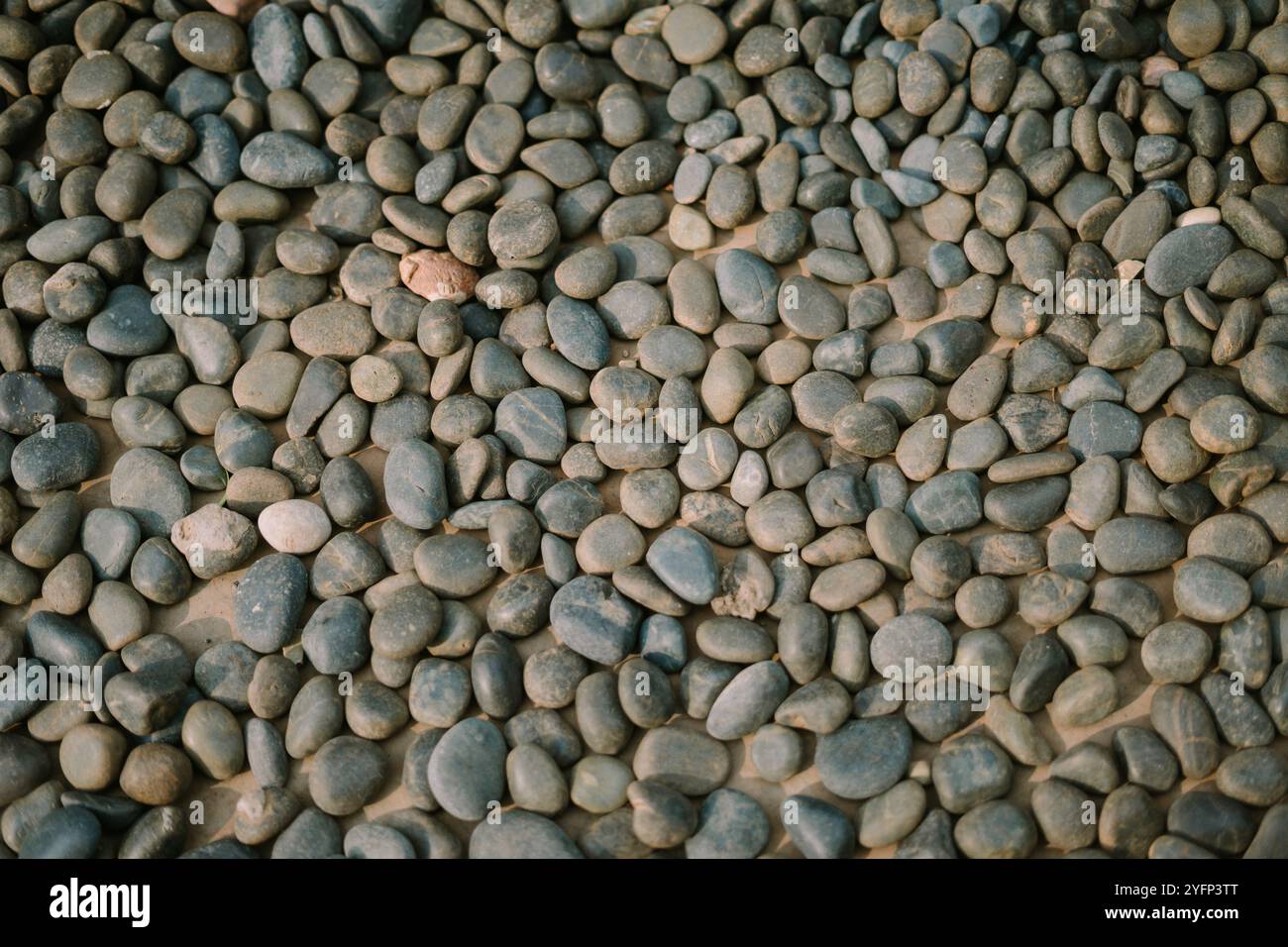 Pierres naturelles de rivière avec des textures lisses et des formes variées, parfaites pour l'aménagement paysager ou décoratif Banque D'Images