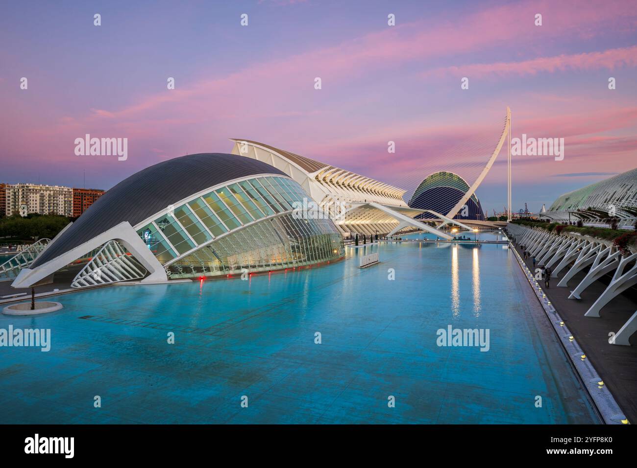 Vue panoramique de la Cité des Arts et des Sciences, Valence, Communauté valencienne, Espagne Banque D'Images