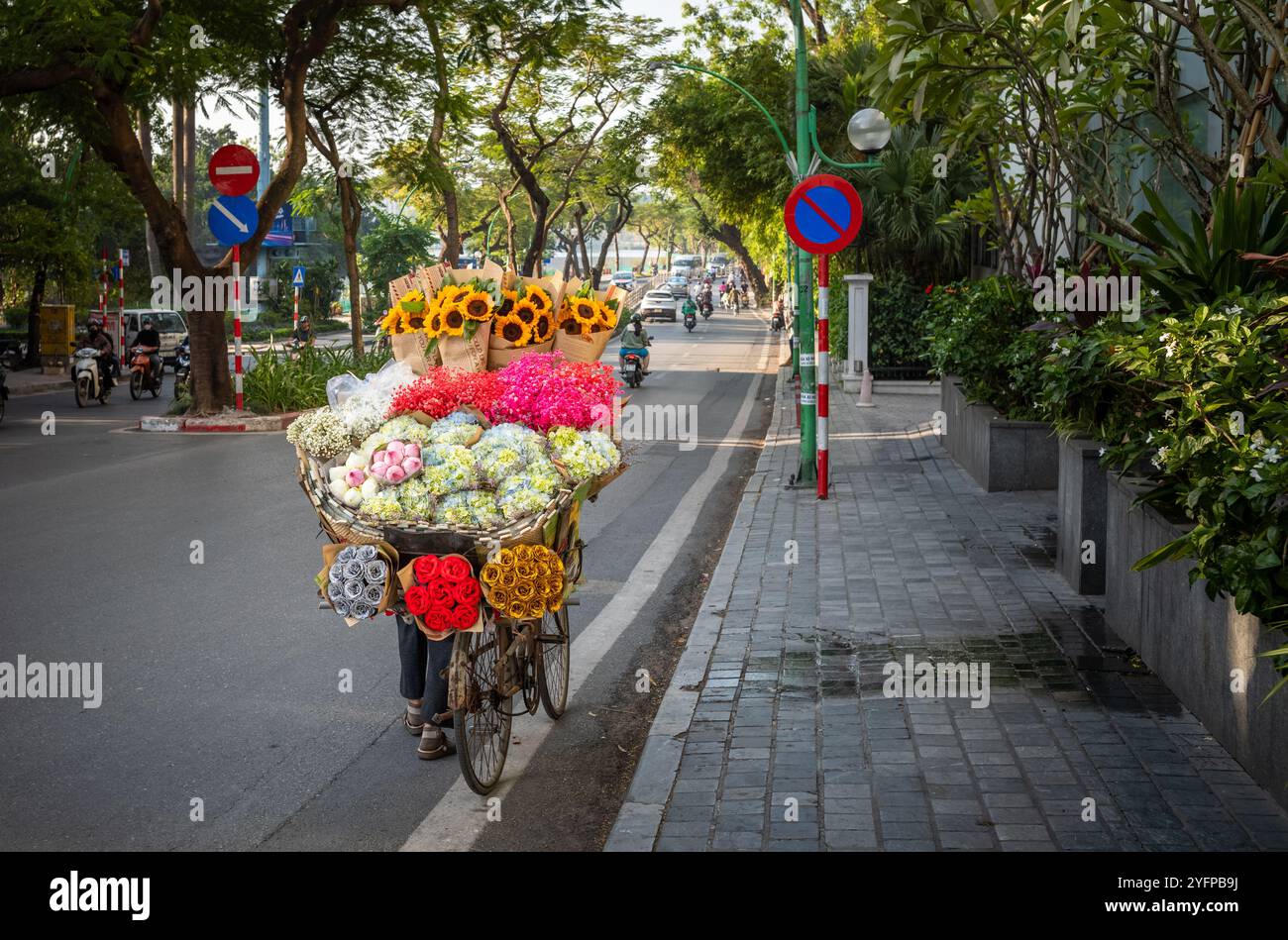 Un vendeur de fleurs pousse une bicyclette chargée de bouquets de lotus (Nelumbo nucifera), d'hortensia (Hydrangeaceae), de tournesols (Helianthus) et d'autres fleurs Banque D'Images