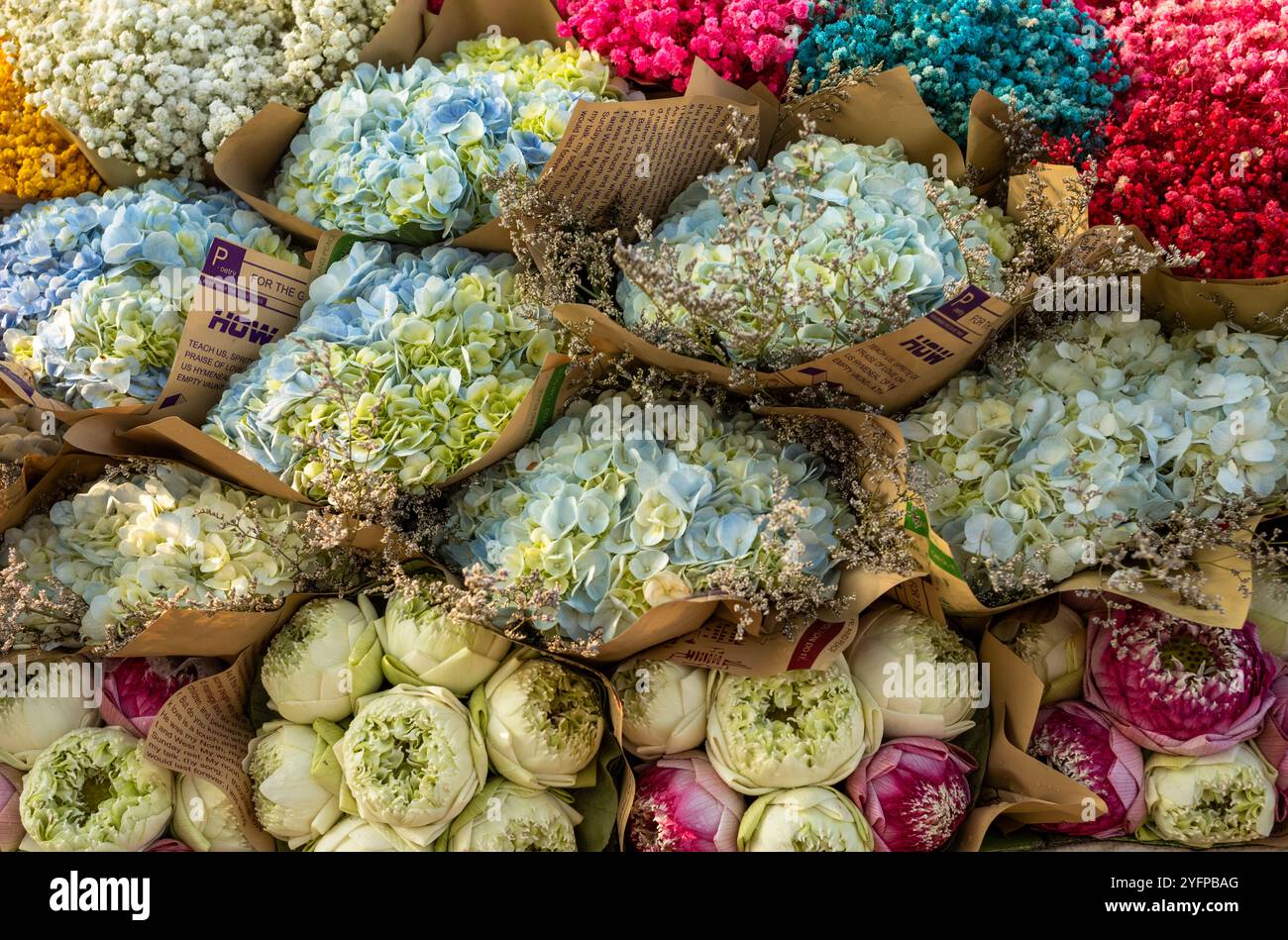 Bouquets enveloppés de lotus (Nelumbo nucifera), hortensia (Hydrangeaceae) et autres fleurs à vendre sur le bord de la route à Hanoi, Vietnam. Banque D'Images