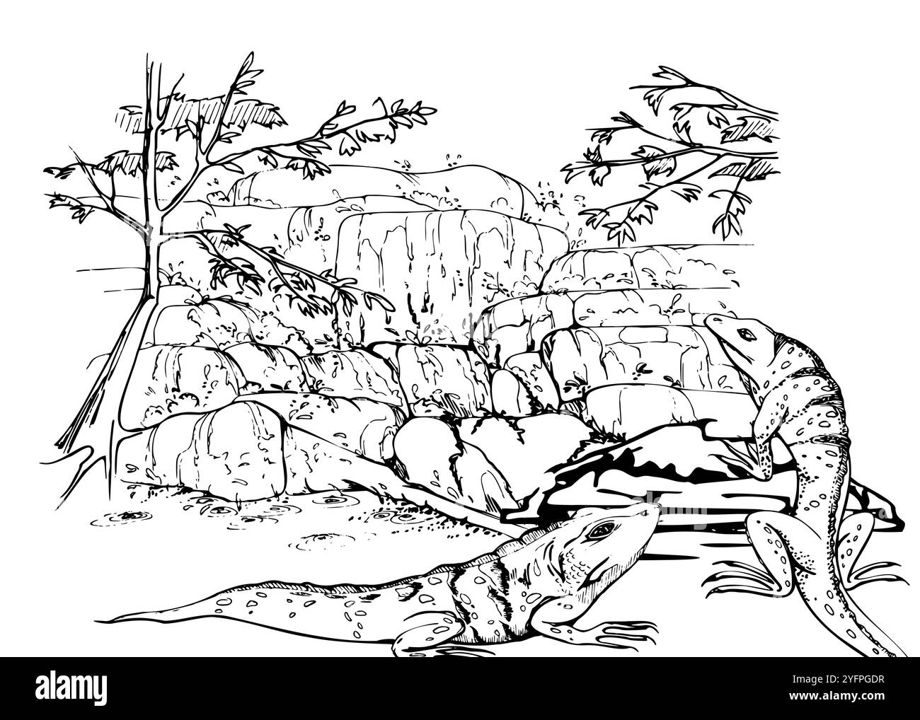 Chute d'eau sur des rochers rocheux avec des arbres, ruisseau d'eau qui coule, mur de pierre, lézards iguanes. Illustration vectorielle d'encre dessinée à la main, paysage scénique isolé Illustration de Vecteur