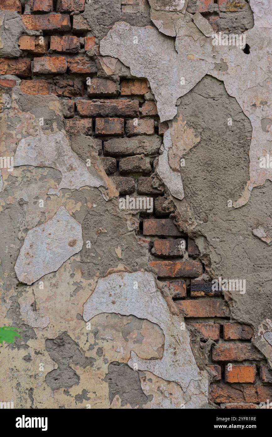 Une bande de briques dans un vieux mur avec du plâtre détruit. Pour la conception. Banque D'Images