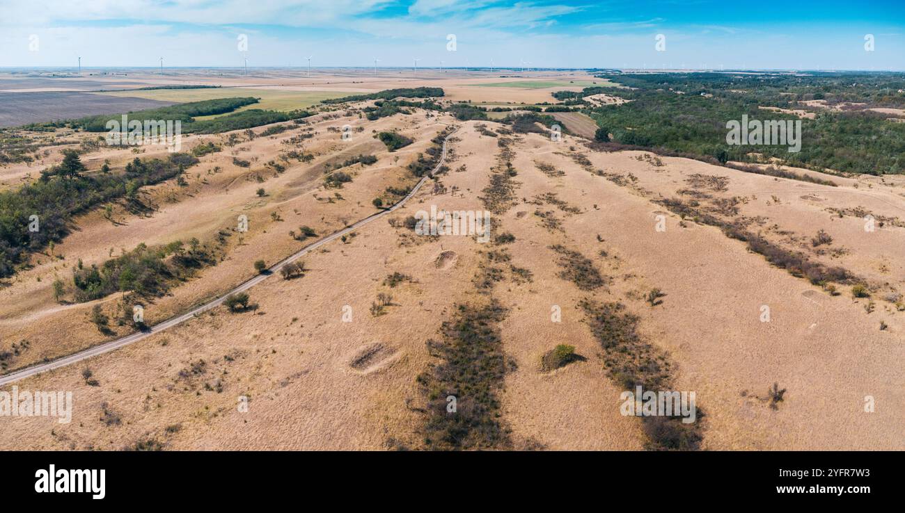 Vue aérienne du désert de Deliblatska Pescara en Serbie, mettant en valeur son paysage unique de dunes de sable et de parcelles de végétation Banque D'Images