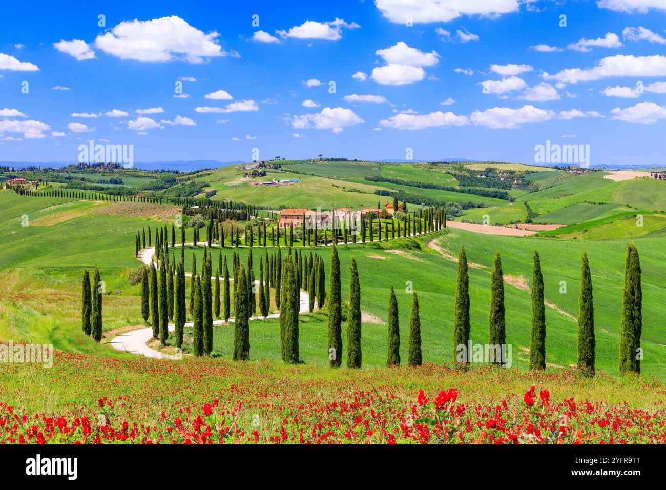 Asciano, Italie. Paysage typique du Val d'Orcia. Banque D'Images