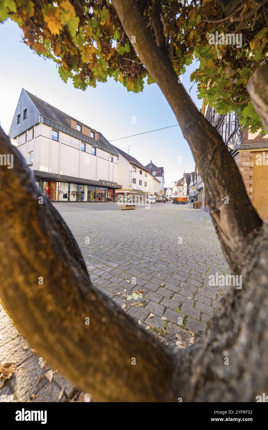 Rue urbaine, encadrée par des feuilles d'automne et l'architecture, calme et paisible, Nagold, Forêt Noire, Allemagne, Europe Banque D'Images