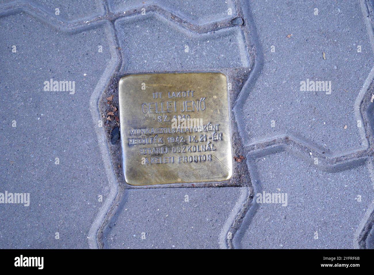 Stolpersteine (pierre d'achoppement, botlatókő) à Jenő Gellei, un Juif tué dans l'Holocauste, Hegedus Gyula utca 37, Budapest, Hongrie Banque D'Images