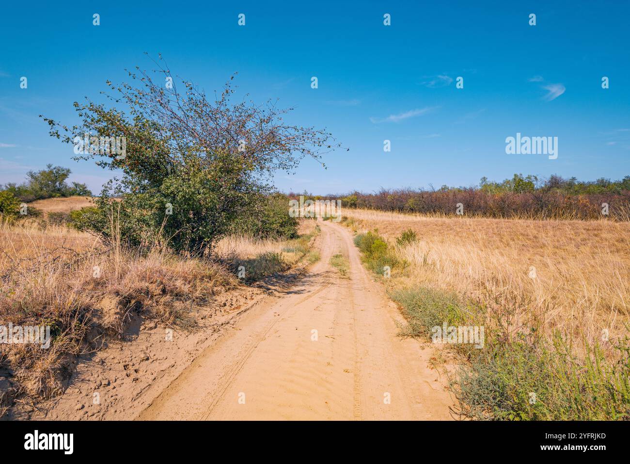 Une vue panoramique sur le désert serbe Deliblatska Pescara révèle une vaste étendue de plaines vides et de collines ondulantes sous un ciel clair Banque D'Images