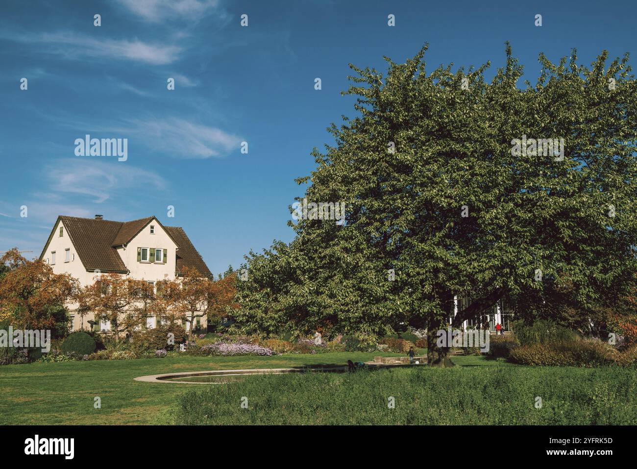 Maison avec beau jardin à l'automne. Fleurs dans le parc. Bietigheim-Bissingen. Allemagne, Europe. Parc et maison d'automne, personne, brousse et énergie Banque D'Images