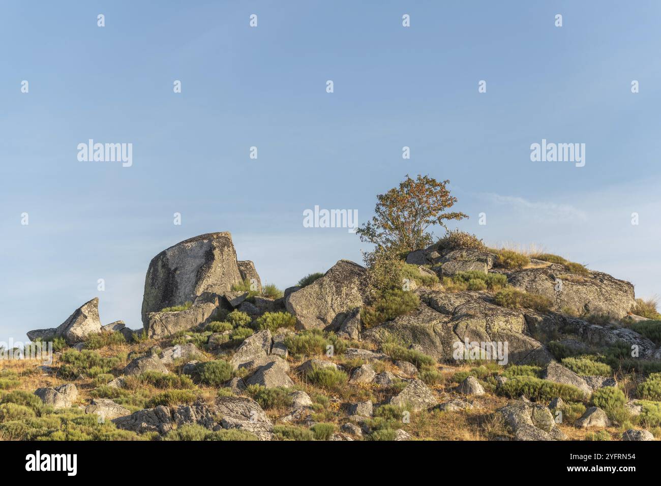 Paysage en Aubrac en été, inspirant, infini, enchanteur, magique, paisible, envoûtant. Cévennes France Banque D'Images