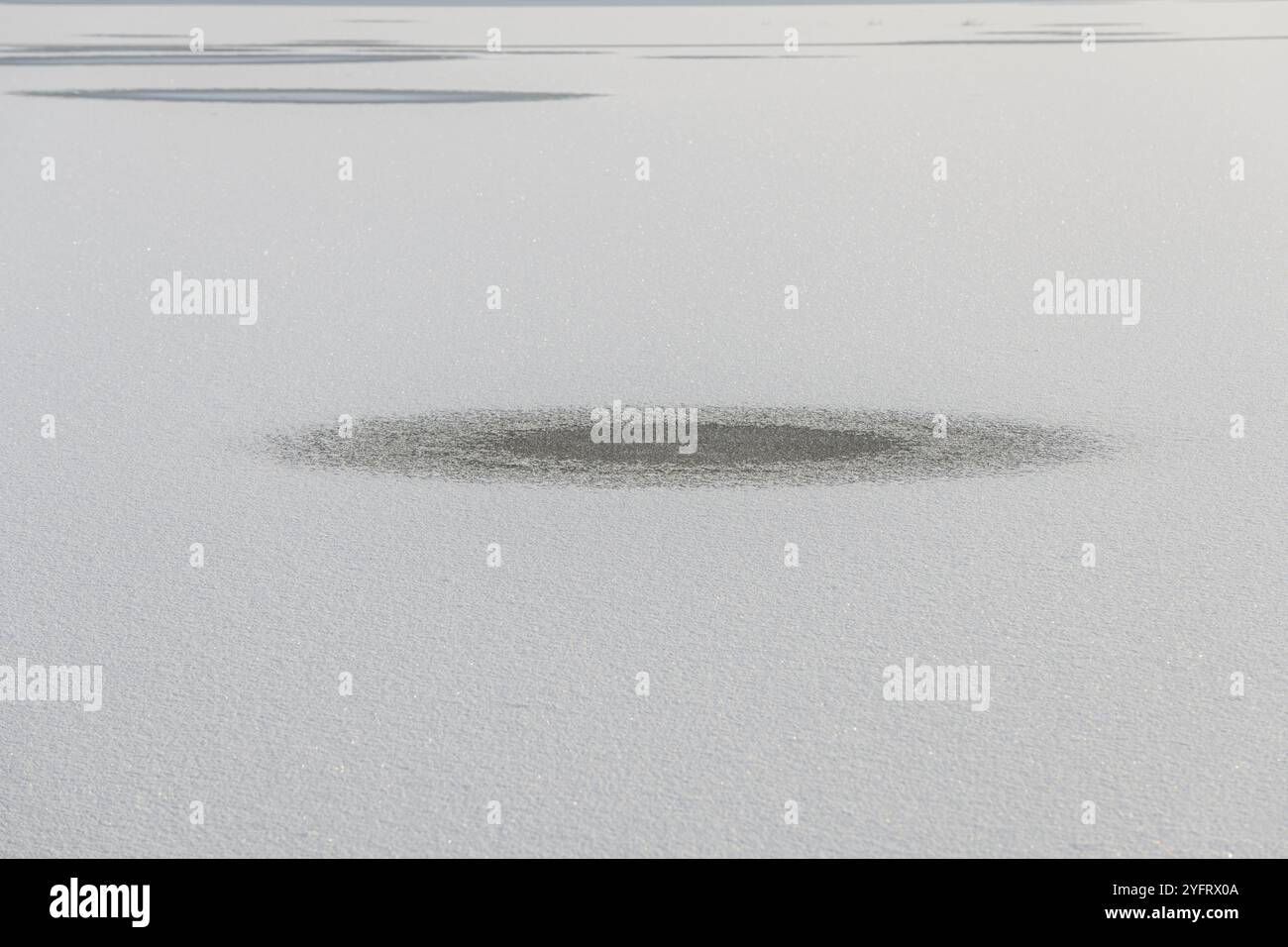 Prairie inondée gelée en hiver. Bas-Rhin, Alsace, Grand est, France, Europe Banque D'Images