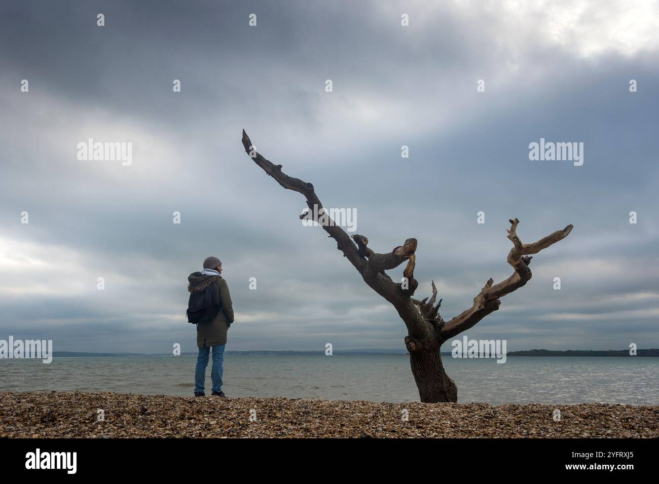 femme portant un manteau parka d'hiver regardant vers la mer, debout près d'un arbre mort Banque D'Images