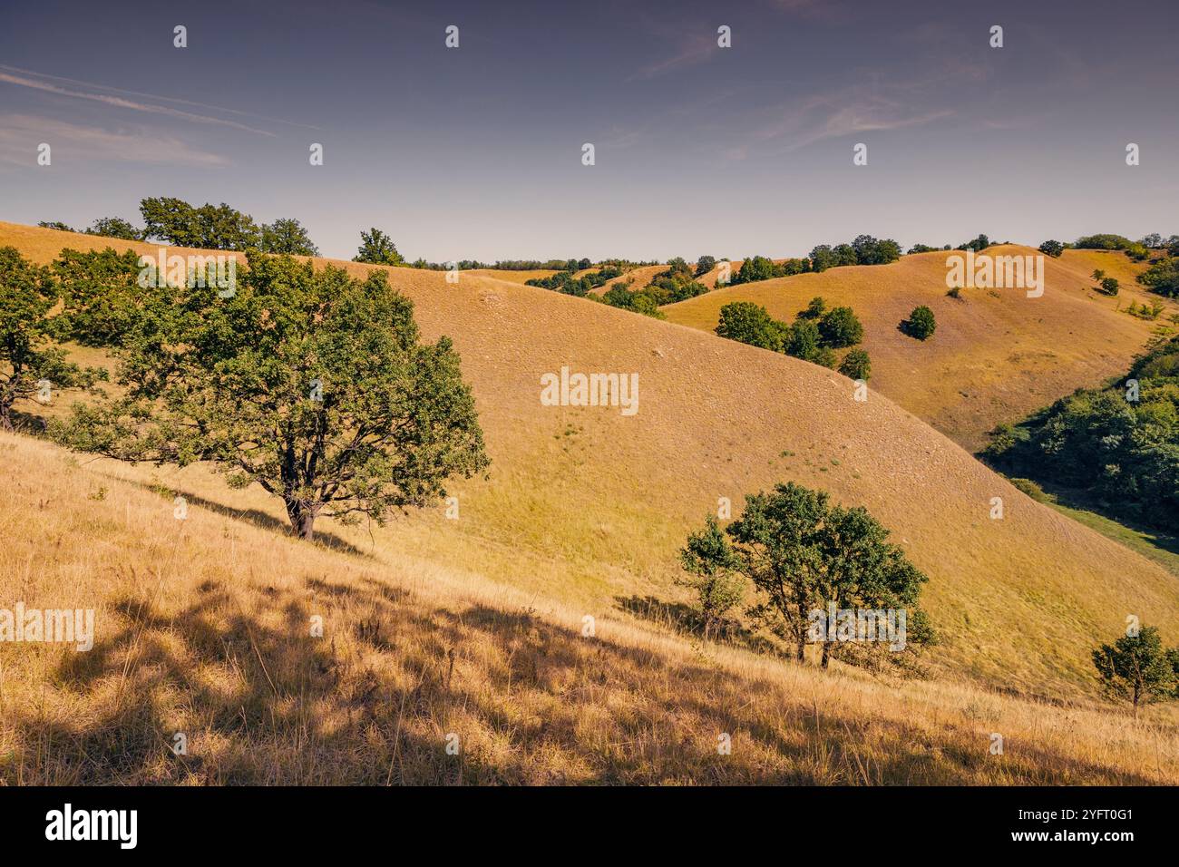 Beau paysage de campagne mettant en valeur des prairies et des champs à Deliblatska Pescara, parfait pour les aventures en plein air et le tourisme Banque D'Images