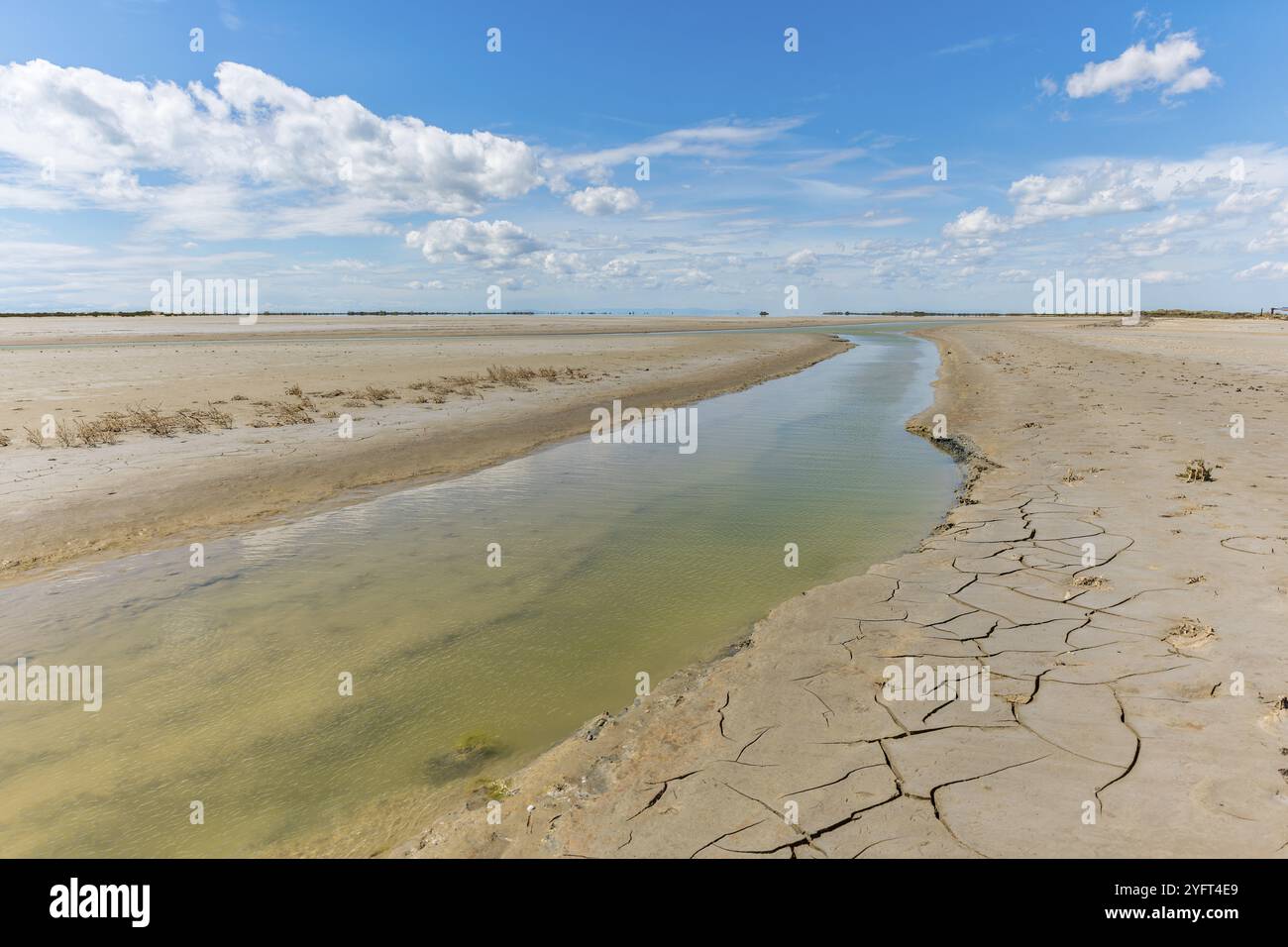 Paysage typique dans un lagon du delta du Rhône en Camargue. Saintes Maries de la Mer, Parc naturel régional, Arles, Bouches du Rhône, Provence A Banque D'Images